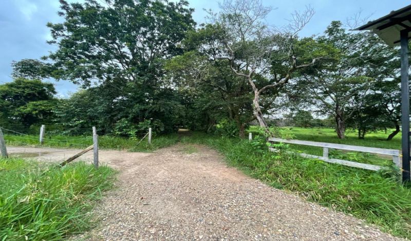 VENDO FINCA EN TAURAMENA